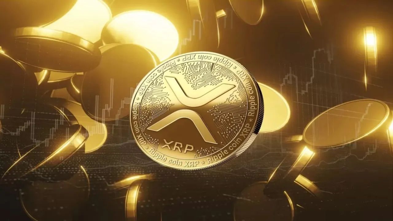 How to Buy Ripple in Canada and Track Your Wallet on Bitget